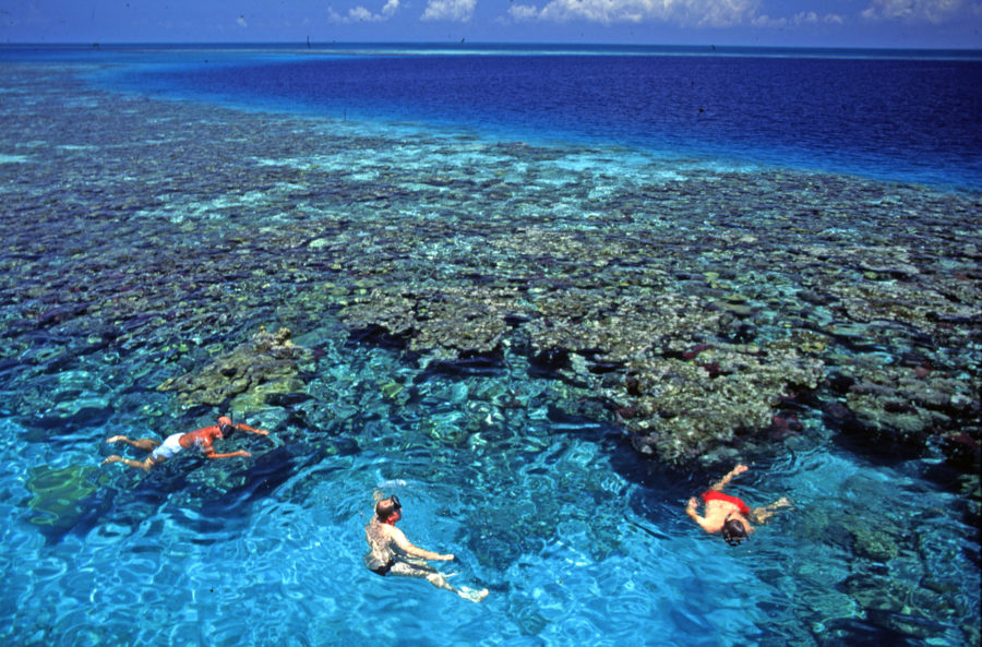 Belize Barrier Reef 4