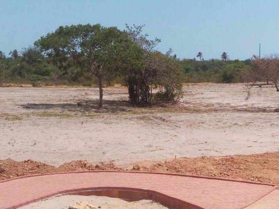 Cidade Cauype surge valoriza o entorno do Pecém