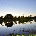 Feijuca Carioca atrai um exército de bonitonas ao Colosso Lake