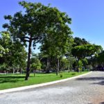 Parque Estadual Do Cocó (3)