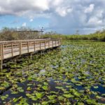 Everglades National Park 1129x752.jpg.optimal