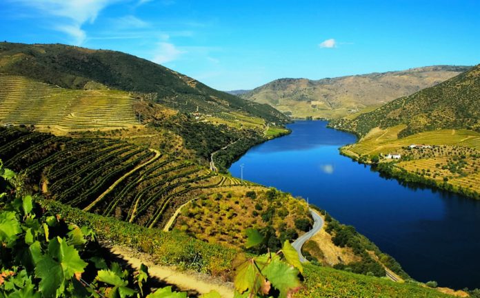 Douro Paisagem