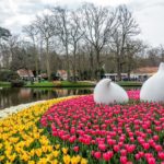 Keukenhof Gardens Netherlands Tulips And Sculpture Pond