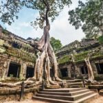 Templo Ta Prohm Angkor