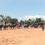 IV Etapa Do Circuito Norte Nordeste Guabi De Hipismo (13)