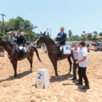 IV Etapa Do Circuito Norte Nordeste Guabi De Hipismo (84)