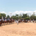 IV Etapa Do Circuito Norte Nordeste Guabi De Hipismo (9)