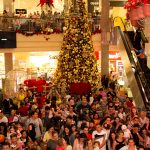 Chegada Do Papai Noel No Shopping Del Paseo (10)