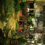 Papai Noel Nos Jardins Open Mall (51)