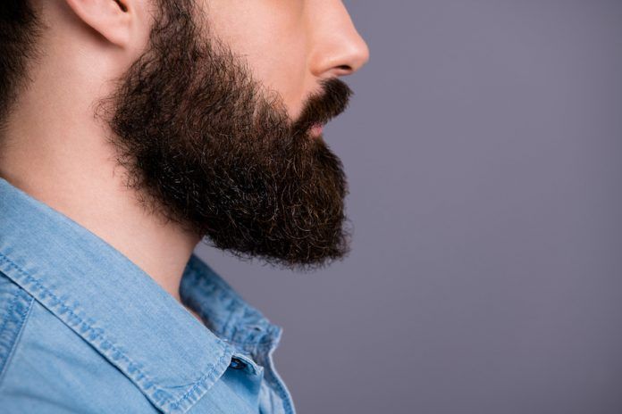 Cropped Profile Side Photo Of Focused Guy Look Copy Space Show His Groomed Beard After Spa Salon Bodycare Procedure Wear Stylish Jeans Outfit Isolated Over Grey Color Background