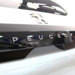 PEUGEOT (71)