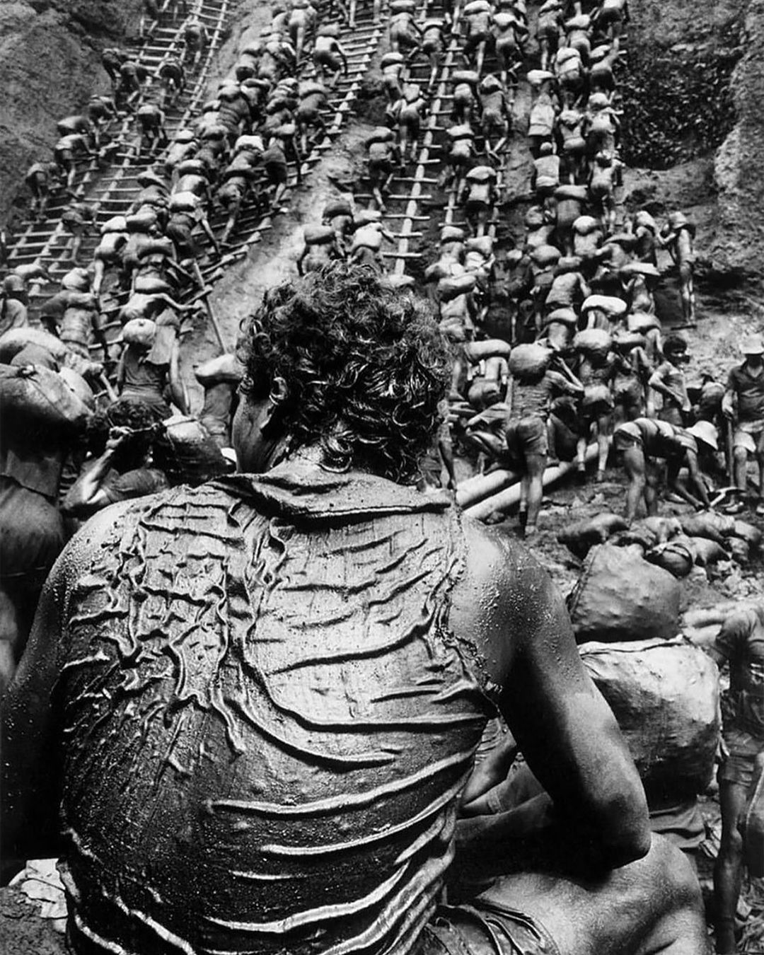 Reprodução: Sebastião Salgado